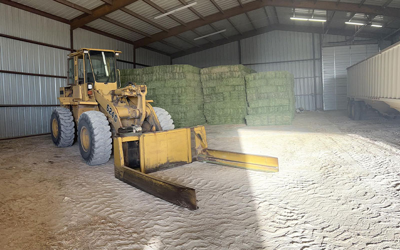 About Us Double M Feed and Supply Colorado City, TX