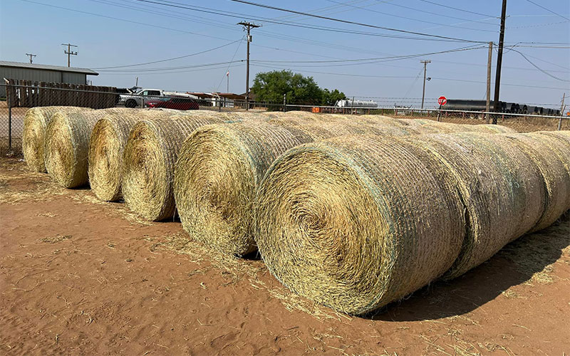 About Us Double M Feed and Supply Colorado City, TX