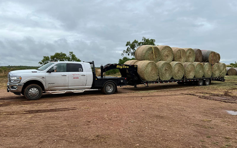 Double M Feed and Supply