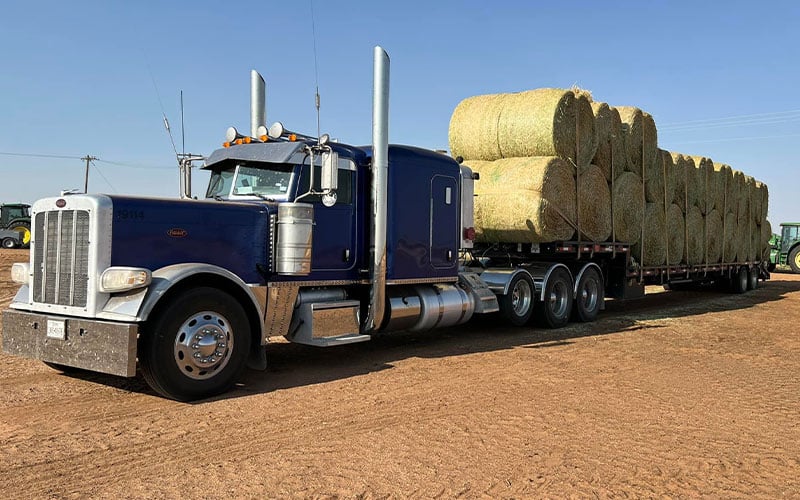 Double M Feed and Supply