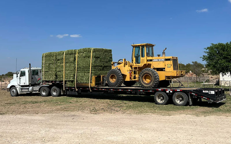Double M Feed and Supply