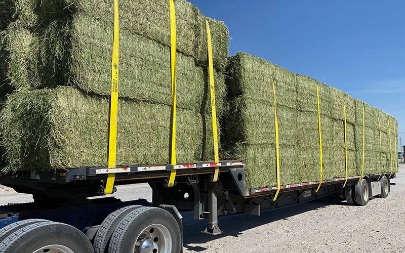 Double M Feed and Supply