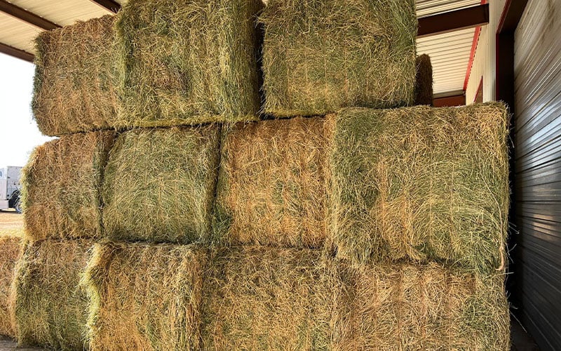 Double M Feed and Supply
