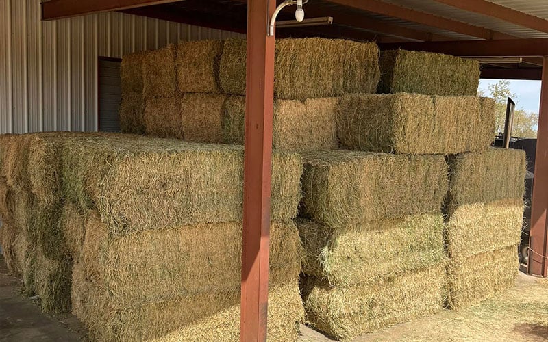 Double M Feed and Supply